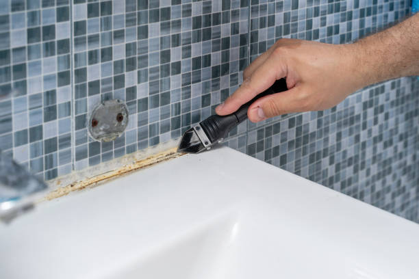 Best Mold Testing  in Springhill, LA